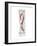 Candy Cane-Stacy Milrany-Framed Art Print