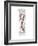 Candy Cane-Stacy Milrany-Framed Art Print