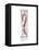 Candy Cane-Stacy Milrany-Framed Stretched Canvas