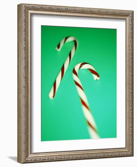 Candy Canes-Lawrence Lawry-Framed Photographic Print