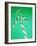 Candy Canes-Lawrence Lawry-Framed Photographic Print