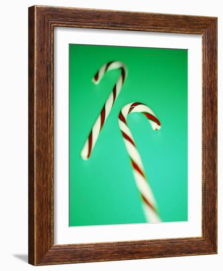 Candy Canes-Lawrence Lawry-Framed Photographic Print