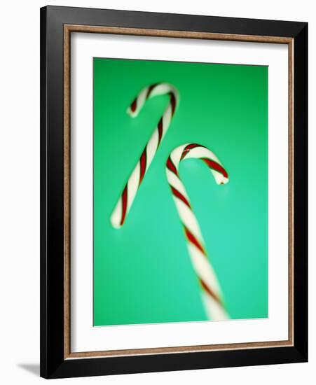 Candy Canes-Lawrence Lawry-Framed Photographic Print