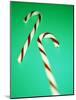 Candy Canes-Lawrence Lawry-Mounted Photographic Print