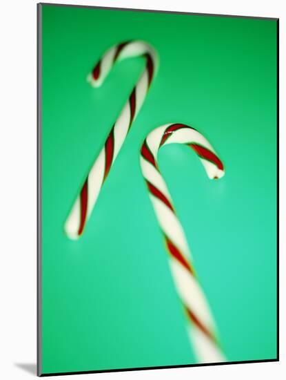 Candy Canes-Lawrence Lawry-Mounted Photographic Print