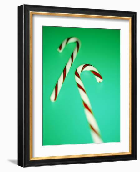 Candy Canes-Lawrence Lawry-Framed Photographic Print