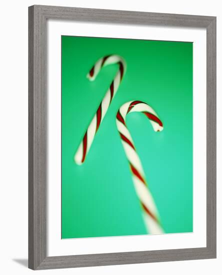 Candy Canes-Lawrence Lawry-Framed Photographic Print