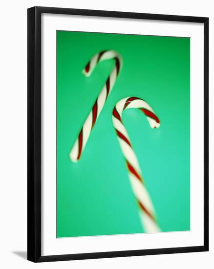 Candy Canes-Lawrence Lawry-Framed Photographic Print