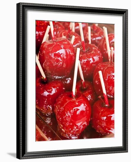 Candy Coated Fruit at the Stuttgart Beer Festival, Cannstatter Wasen, Stuttgart, Germany-Michael DeFreitas-Framed Photographic Print