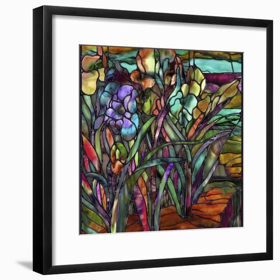 Candy Coated Irises-Mindy Sommers-Framed Premium Giclee Print