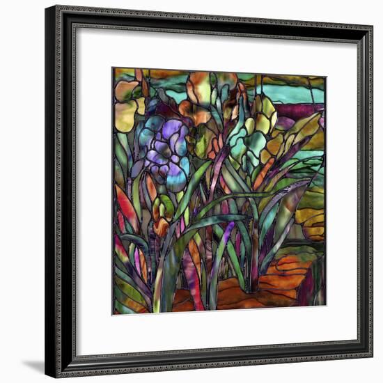 Candy Coated Irises-Mindy Sommers-Framed Giclee Print