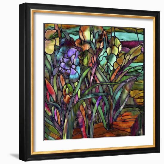 Candy Coated Irises-Mindy Sommers-Framed Giclee Print