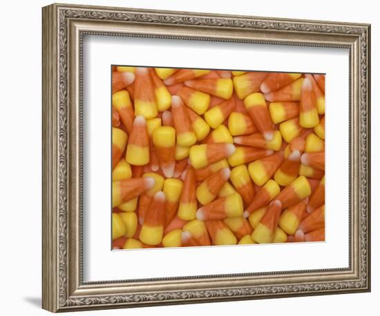 Candy Corn, Washington, USA-Jamie & Judy Wild-Framed Photographic Print