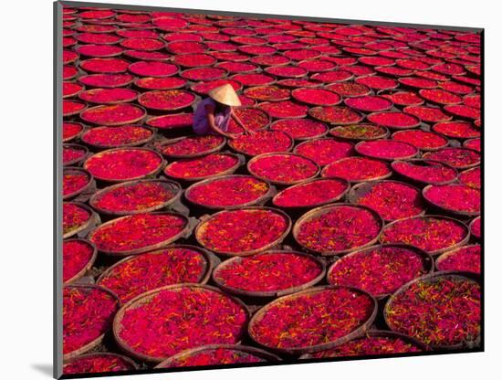 Candy Drying in Baskets, Vietnam-Keren Su-Mounted Photographic Print