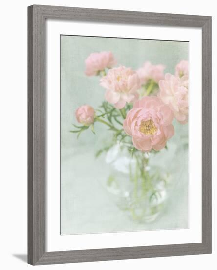 Candy Flowers II-Shana Rae-Framed Giclee Print