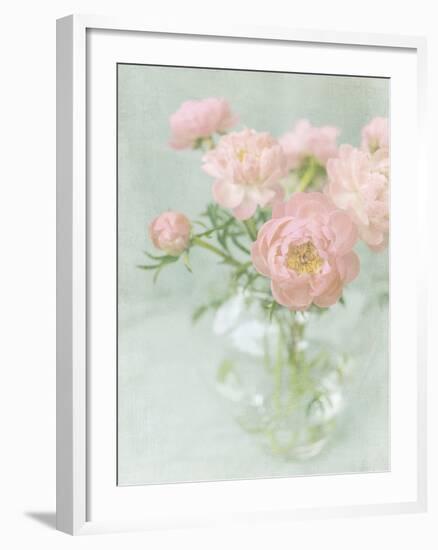 Candy Flowers II-Shana Rae-Framed Giclee Print