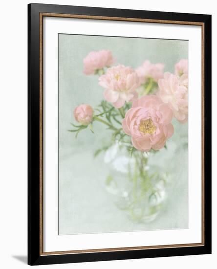 Candy Flowers II-Shana Rae-Framed Giclee Print