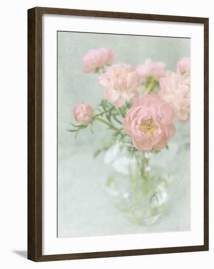 Candy Flowers II-Shana Rae-Framed Giclee Print