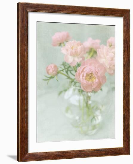 Candy Flowers II-Shana Rae-Framed Giclee Print