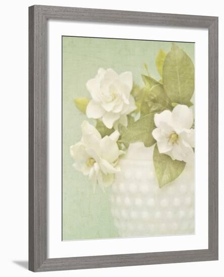 Candy Flowers III-Shana Rae-Framed Giclee Print