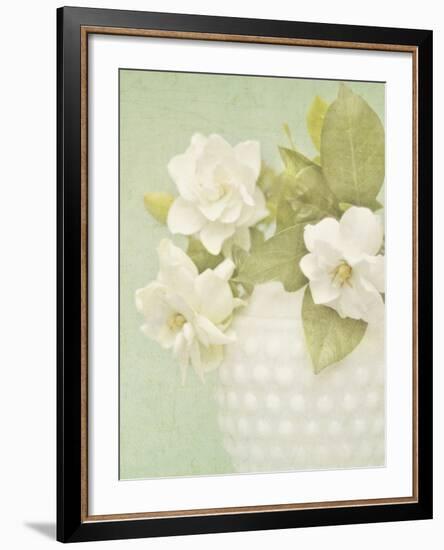 Candy Flowers III-Shana Rae-Framed Giclee Print