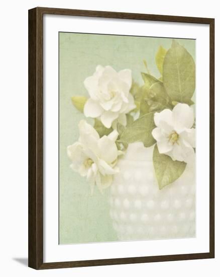 Candy Flowers III-Shana Rae-Framed Giclee Print