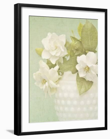 Candy Flowers III-Shana Rae-Framed Giclee Print