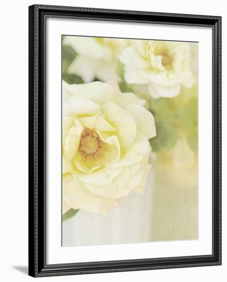 Candy Flowers IV-Shana Rae-Framed Giclee Print