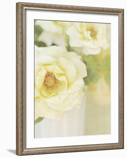 Candy Flowers IV-Shana Rae-Framed Giclee Print