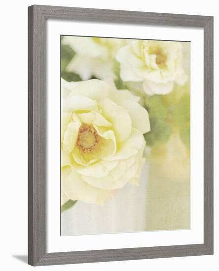 Candy Flowers IV-Shana Rae-Framed Giclee Print