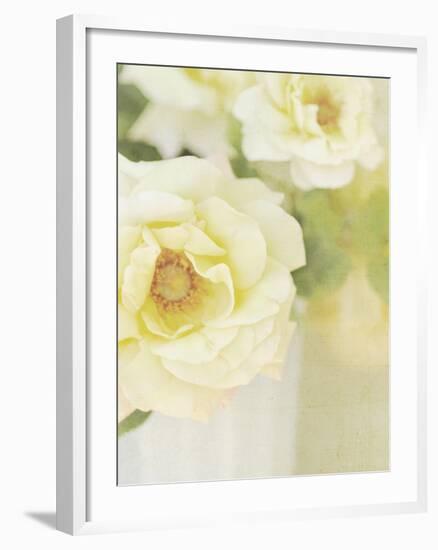 Candy Flowers IV-Shana Rae-Framed Giclee Print