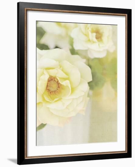 Candy Flowers IV-Shana Rae-Framed Giclee Print