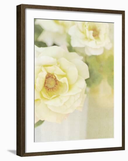 Candy Flowers IV-Shana Rae-Framed Giclee Print