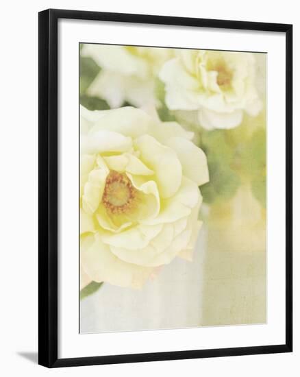 Candy Flowers IV-Shana Rae-Framed Giclee Print