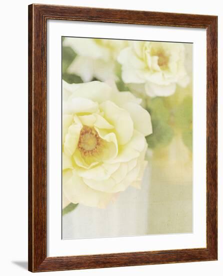 Candy Flowers IV-Shana Rae-Framed Giclee Print