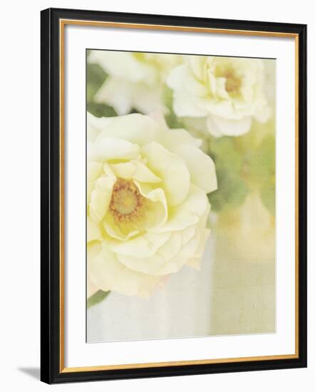 Candy Flowers IV-Shana Rae-Framed Giclee Print