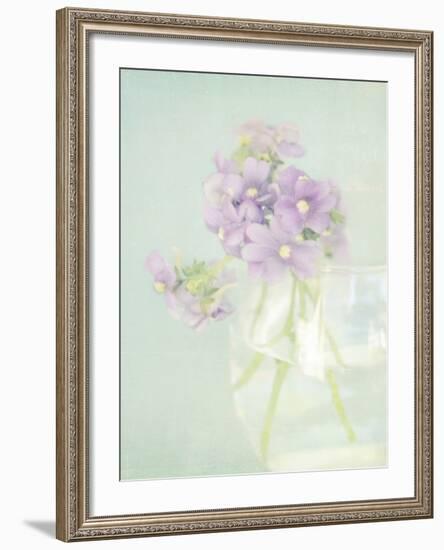 Candy Flowers V-Shana Rae-Framed Giclee Print