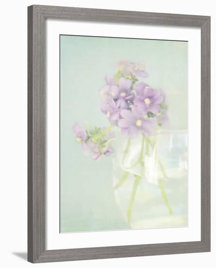 Candy Flowers V-Shana Rae-Framed Giclee Print