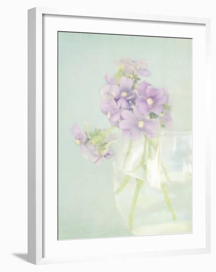 Candy Flowers V-Shana Rae-Framed Giclee Print