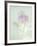 Candy Flowers V-Shana Rae-Framed Giclee Print