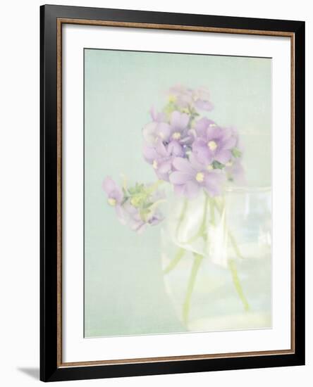 Candy Flowers V-Shana Rae-Framed Giclee Print