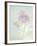 Candy Flowers V-Shana Rae-Framed Giclee Print