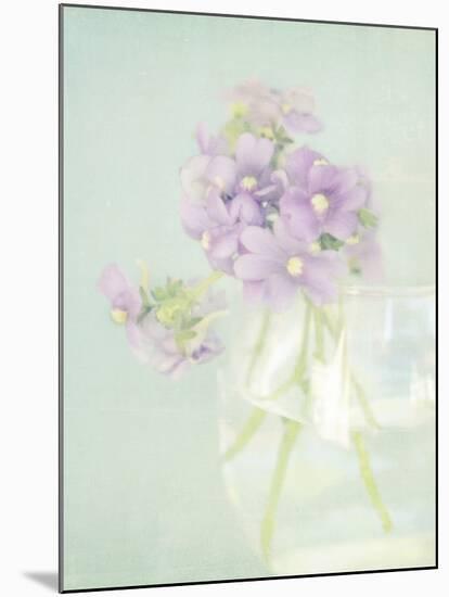 Candy Flowers V-Shana Rae-Mounted Giclee Print