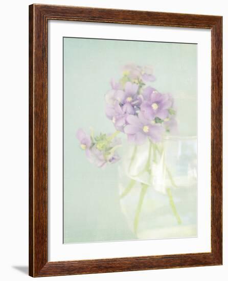 Candy Flowers V-Shana Rae-Framed Giclee Print