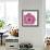 Candy Rose I-Clara Wells-Framed Giclee Print displayed on a wall