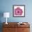 Candy Rose I-Clara Wells-Framed Giclee Print displayed on a wall