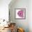 Candy Rose II-Clara Wells-Framed Giclee Print displayed on a wall