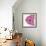 Candy Rose II-Clara Wells-Framed Giclee Print displayed on a wall