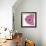 Candy Rose II-Clara Wells-Framed Giclee Print displayed on a wall