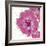 Candy Rose II-Clara Wells-Framed Giclee Print